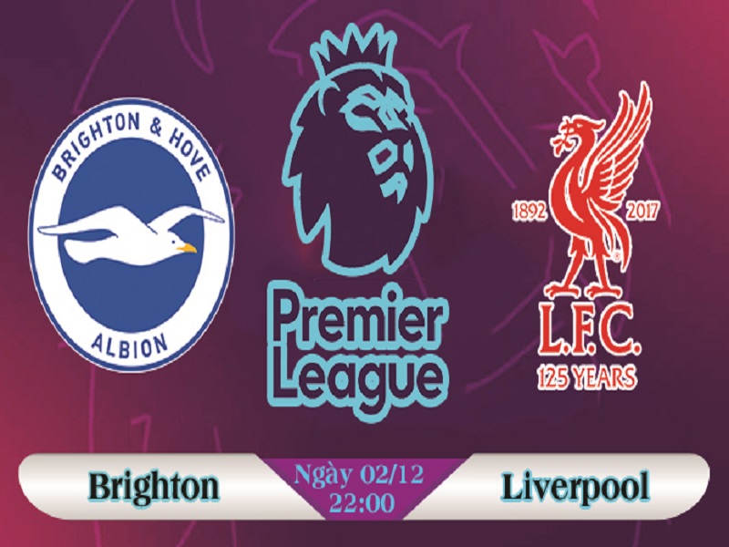 Soi Kèo Trận Brighton Và Liverpool Vào 02/12 Tối 22h00, Vòng 15 Premier League Tại Sân Amex Stadium