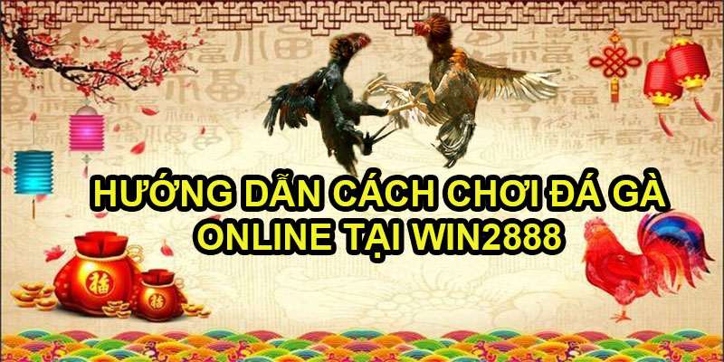 Hướng Dẫn Cách Chơi Đá Gà Online Tại Win2888 - Giải Trí Ăn Tiền Thật